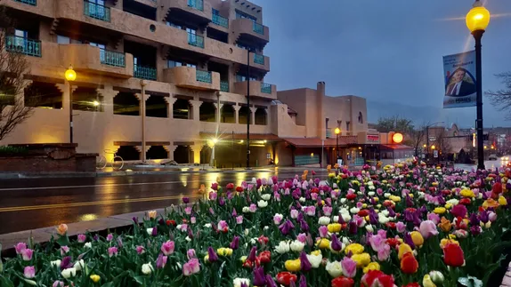 A planter box full of pink, red, yellow, and white tulips with a dark stormy sky above and Table Mountain Inn in background