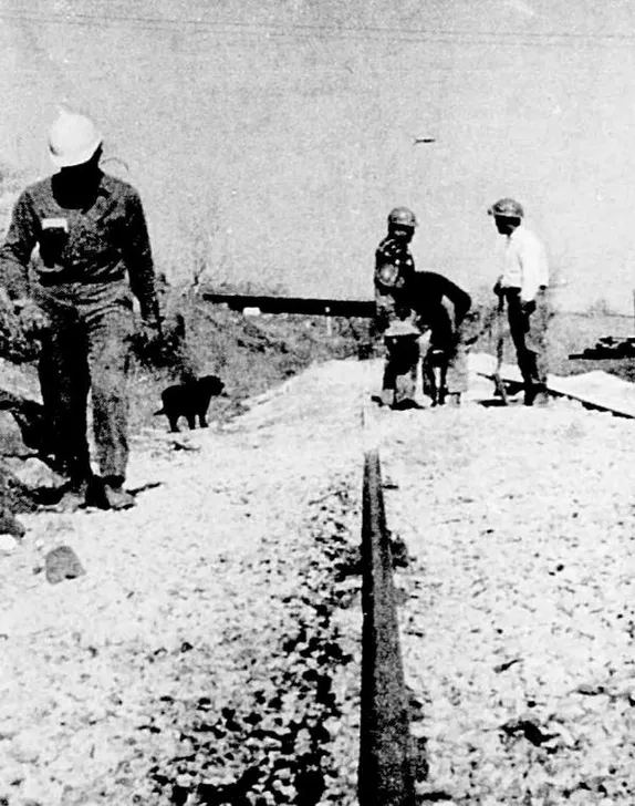 Construction crew in hardhats work on railroad tracks.  Dog stands nearby.