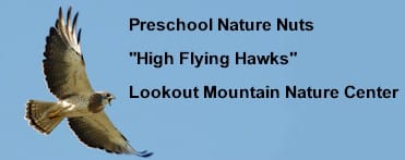 Preschool Nature Nuts - Golden Colorado