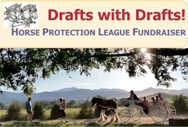 Horse Protection League