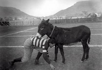 Colorado School of Mines Homecoming