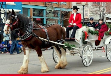 Free Carriage Rides in Golden Colorado