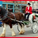 Free Carriage Rides in Golden Colorado