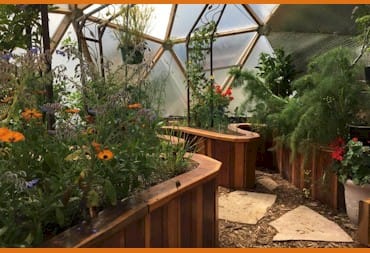 Greenhouse at Compass Montessori - Golden Colorado