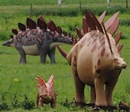 dinosaur ridge near Golden Colorado