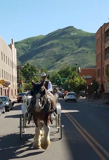 Carriage rides in downtown Golden Colorado