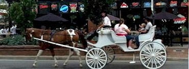 Carriage Rides in Downtown Golden Colorado