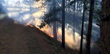 Wildland fires - Golden Colorado