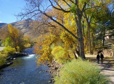 Fall Creek Path - Golden Colorado