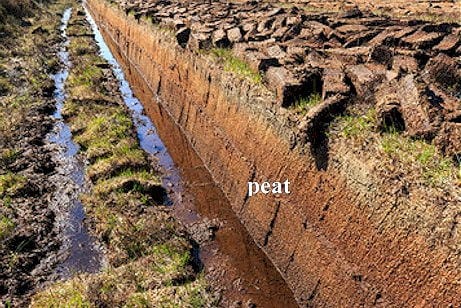 peat