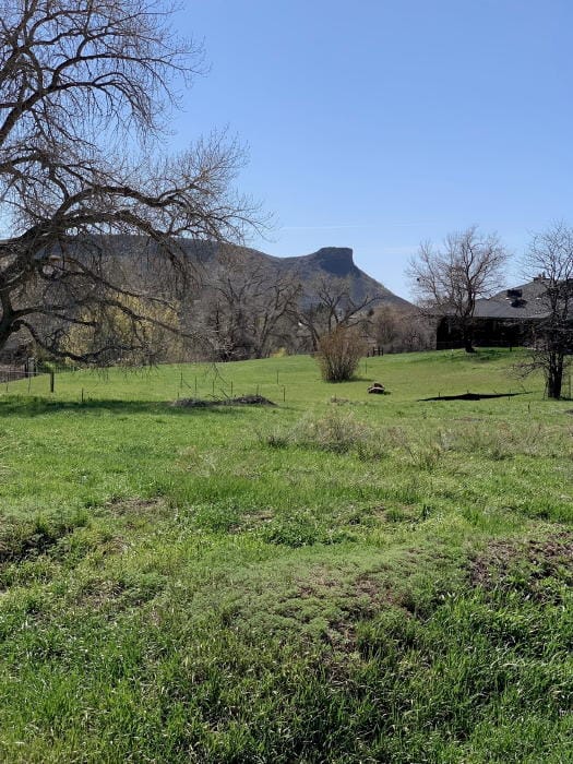 South Table Mountain in the background and a grassy field in the foreground