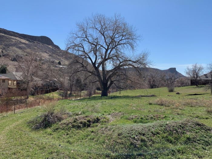 North and South Table Mountain seen from Tucker Gulch, springtime