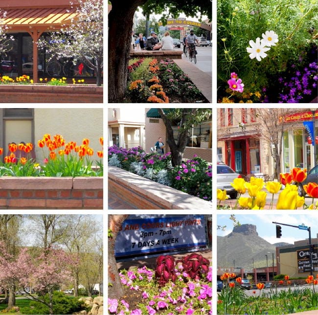 Flowers in Golden's downtown planters