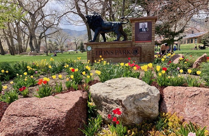 The southeast corner of Lions Park with tulips in the foreground and the Lions Park sign, including a bronze lion statue and a portrait of Lions Club of Golden founder Roy Claar.