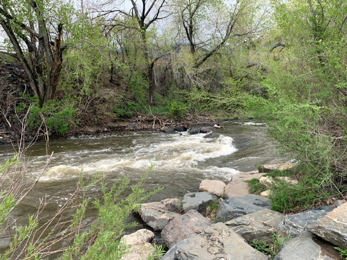 Clear Creek with high water in the spring.  Bright green new leaves along the bank.