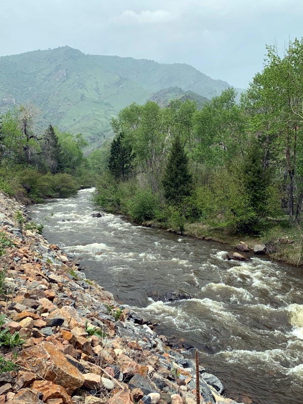 Clear Creek Canyon in the spring, with fast-running water and new leaves on the trees.  Mountain backdrop.