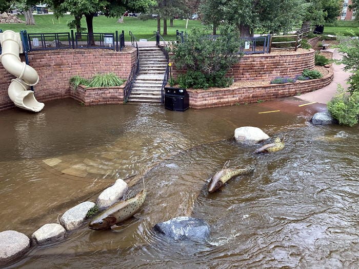 Set of three bronze fish at the edge of Clear Creek slipping below the waterline during spring runoff.