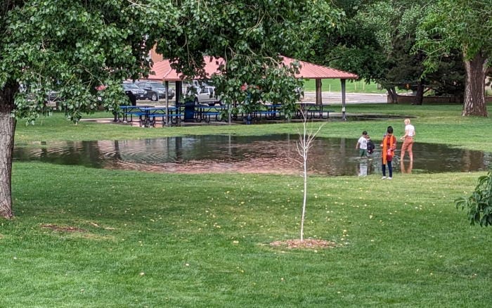 The Lions Park pond reappears