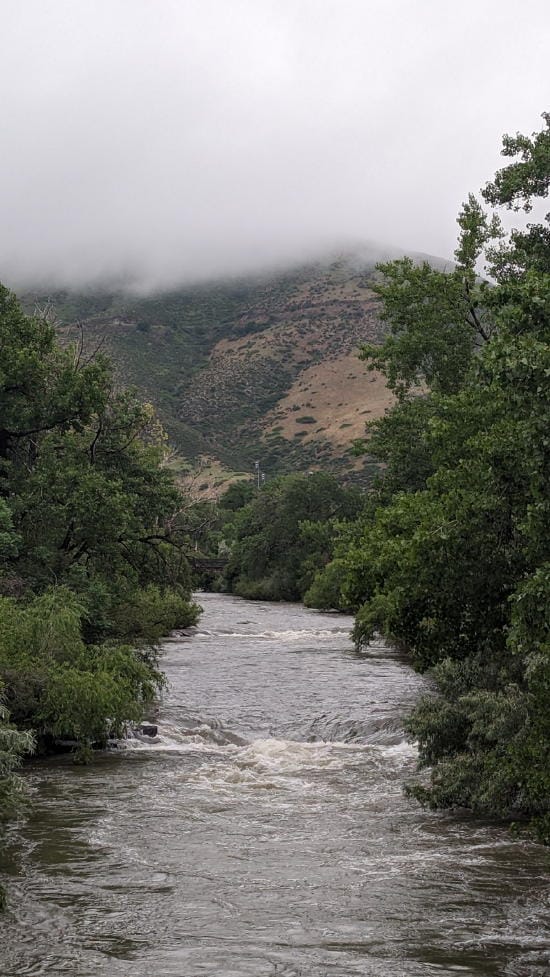 Clear Creek, running high and lined with trees.  Low clouds obscure the top of Mt. Zion in the background.