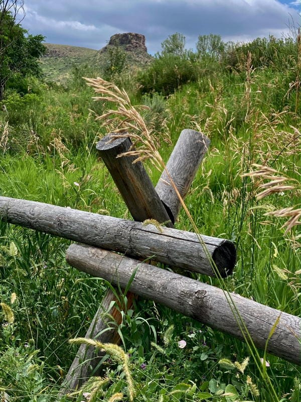 Tall grass and a split rail fence in the foreground, Castle Rock under gray clouds in the background.