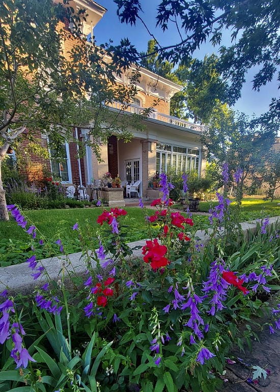 Red and purple flowers with the Kelly mansion (12th and Cheyenne) in the background