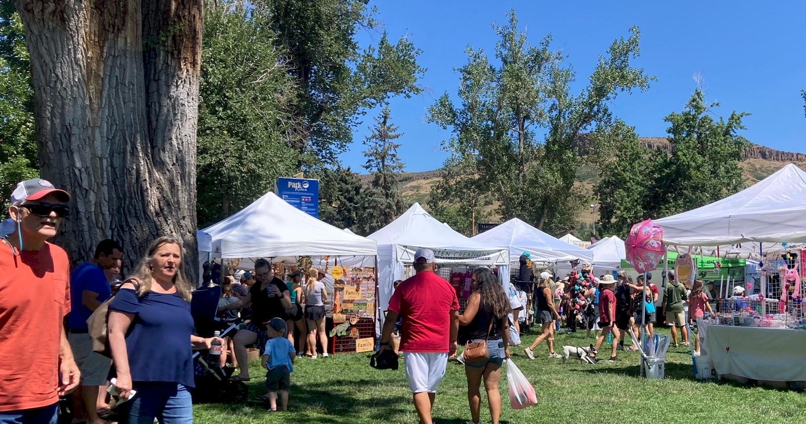 booths set up in Parfet Park with people strolling and looking at the goods