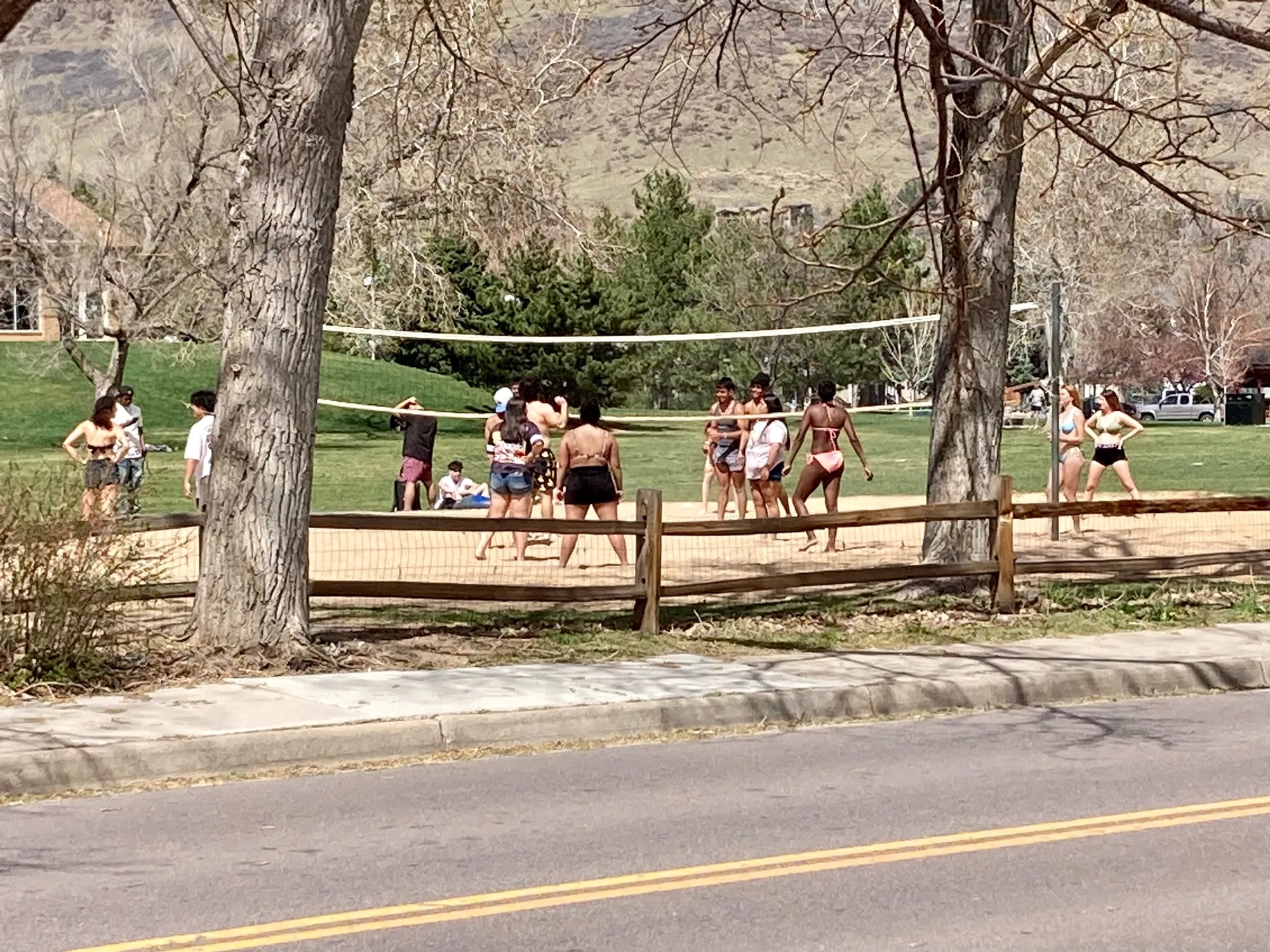 large group of young adults, many in swimsuits playing volleyball in Lions Park
