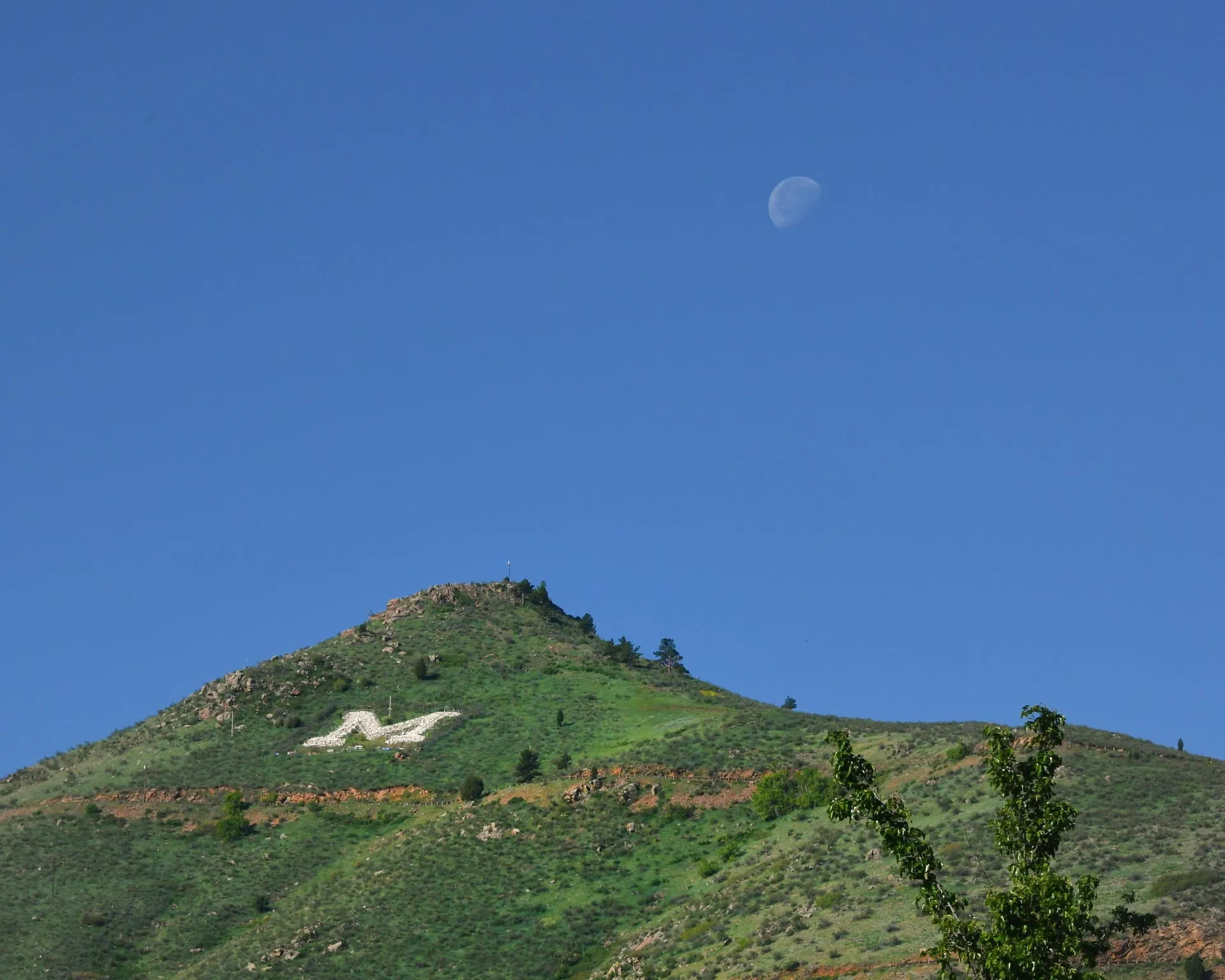 Mount Zion looking exceptionally green with a faint half moon overhead