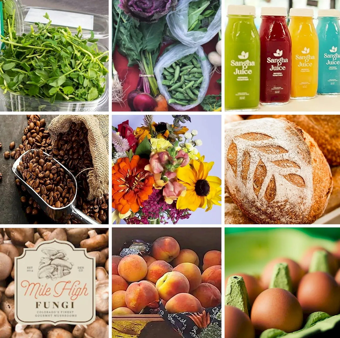 9 images showing fruits, flowers, vegetables, coffee, mushrooms, juice, eggs, and bread