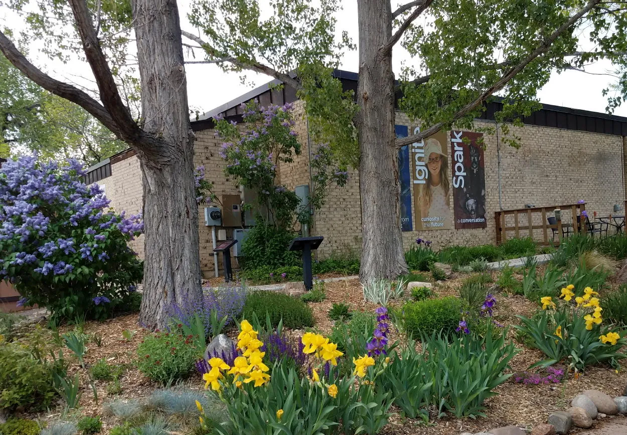 irises and lilacs in the garden south of the Golden History Museum