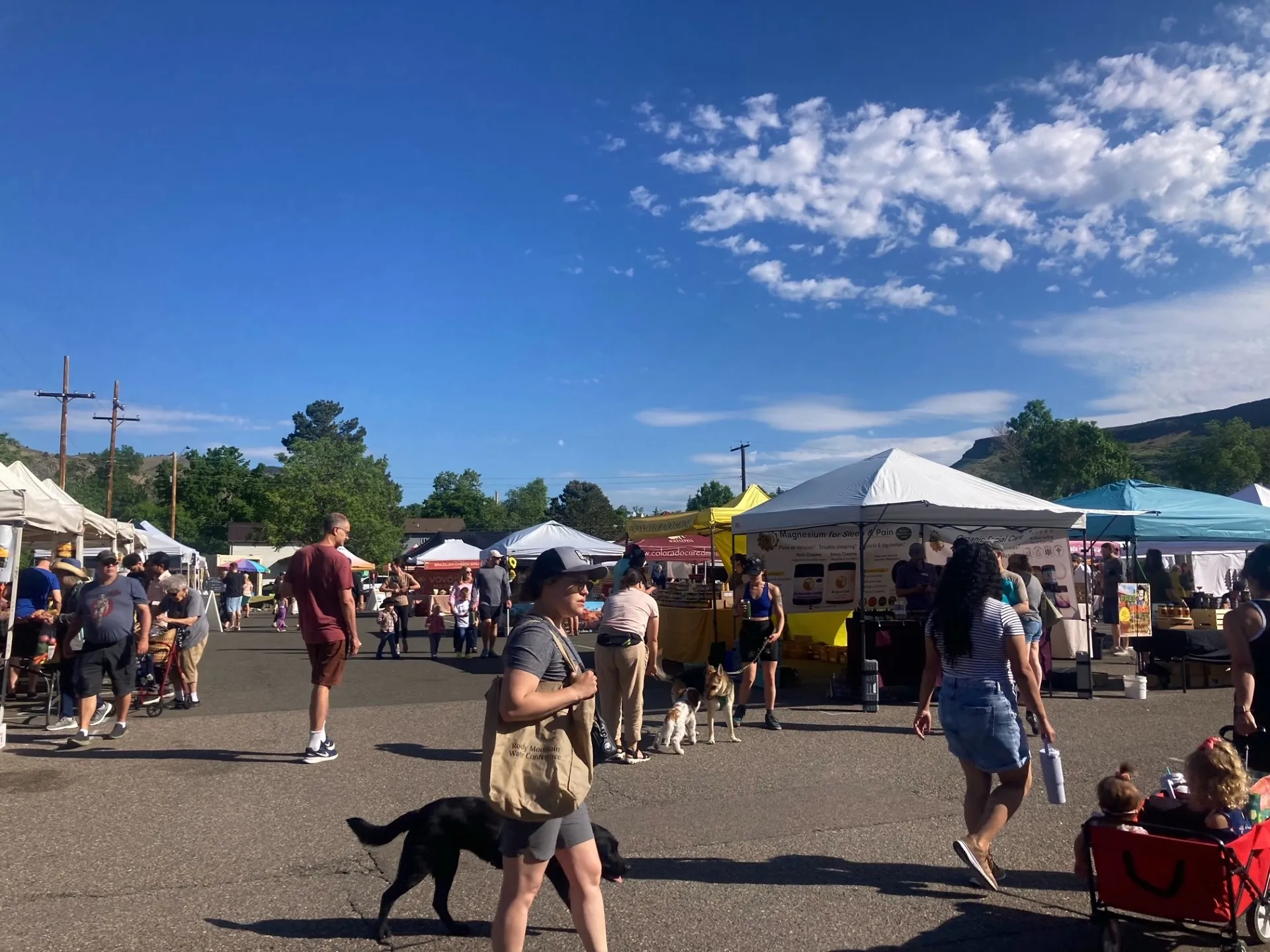 people and dogs strolling around a farmers market - booths with canopies - North Table Mountain in the background