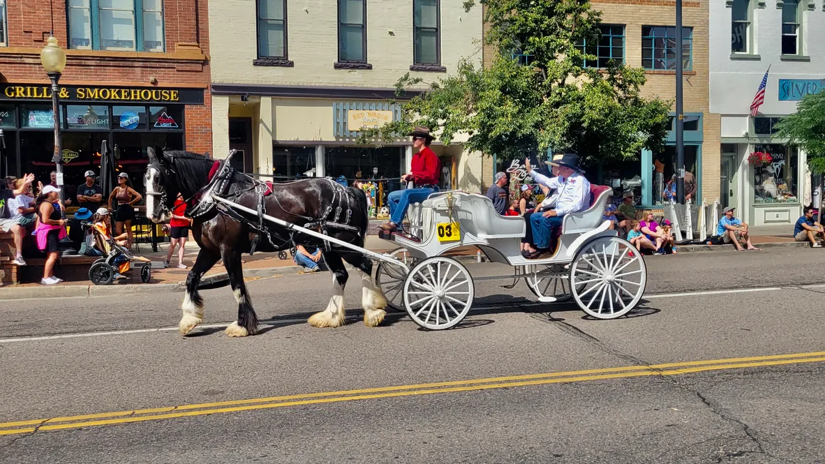 Clydesdale pulling a white carriage holding Buffalo Bill parade Grand Marshal Steve Friesen