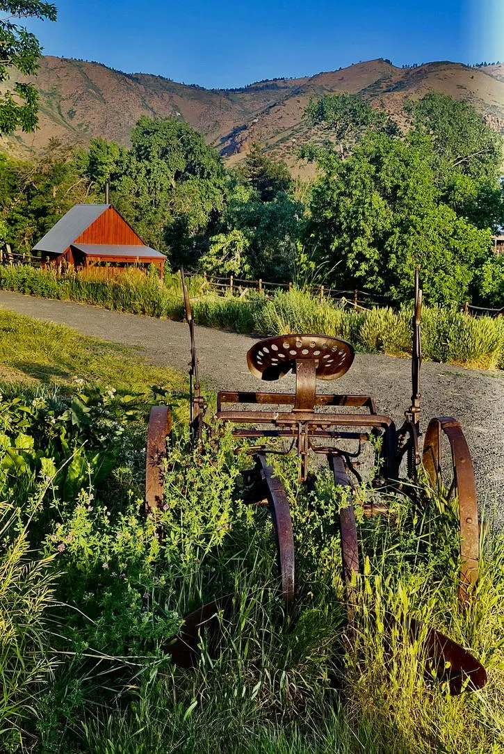 morning view of the history park with an antique plow in foreground, cabins behind, and mountains in background