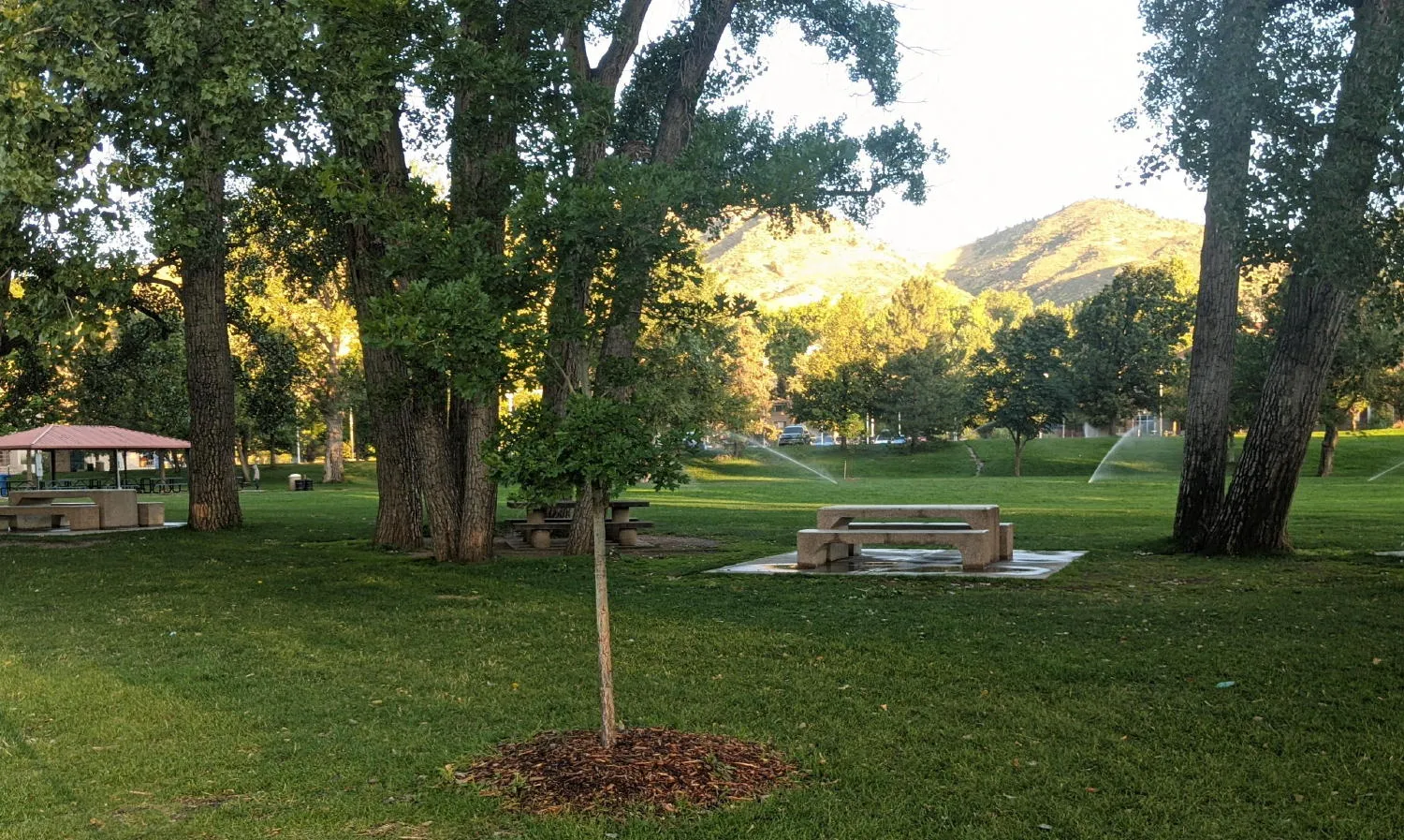 new tree planted in Lions Park - sprinklers watering the grass and mountains in background