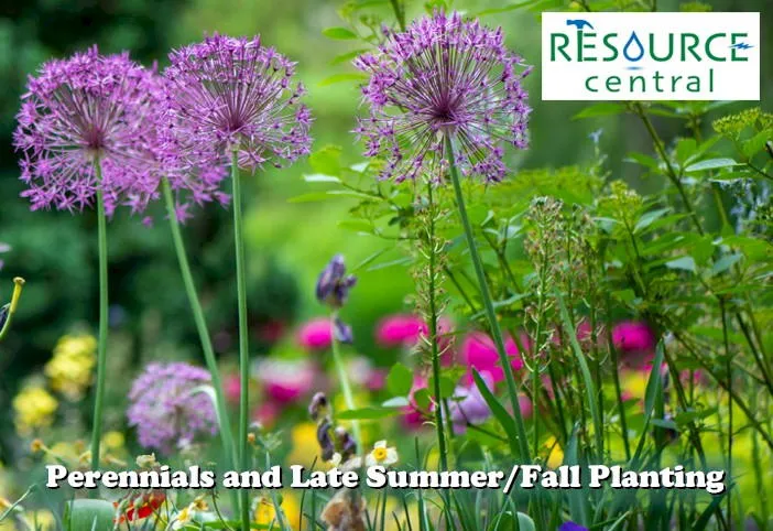 Shows a variety of spring perennials and the Resource Central logo