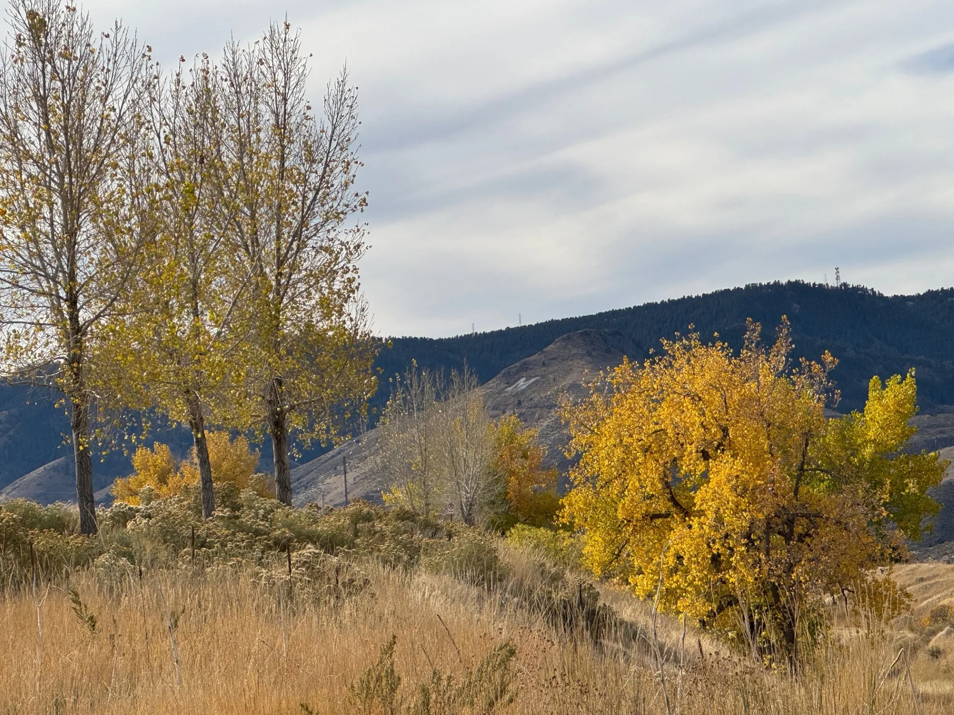 Autumn View of the M