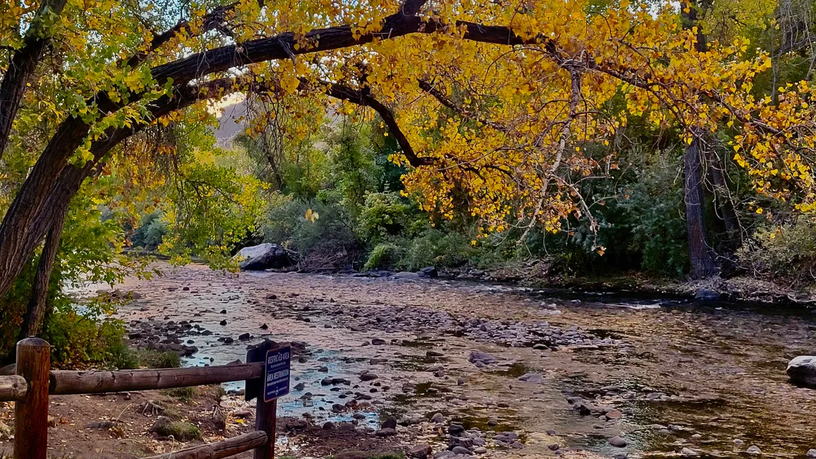 Fall Creek, Early Morning