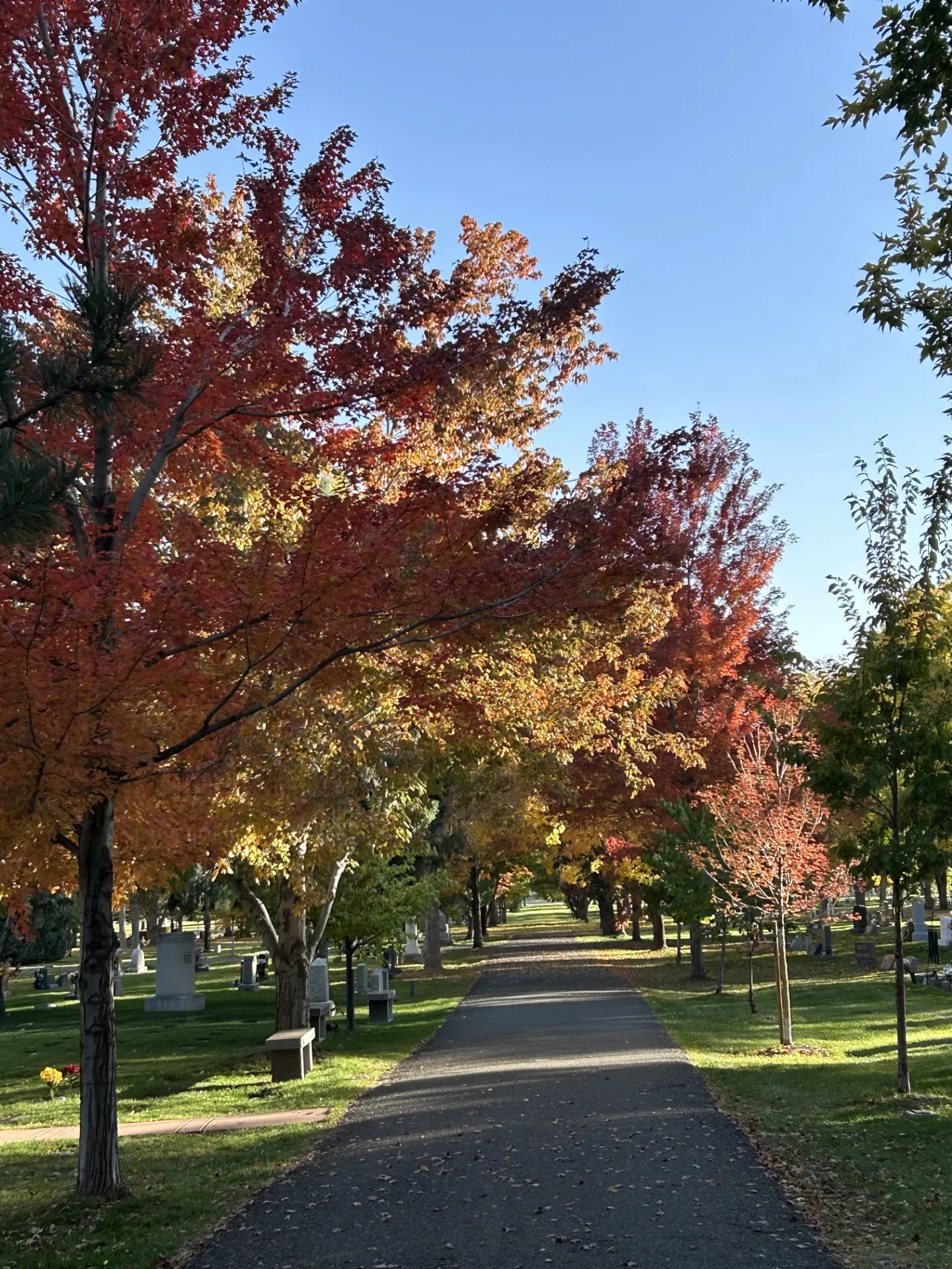 Fall Foliage in the Cemetery