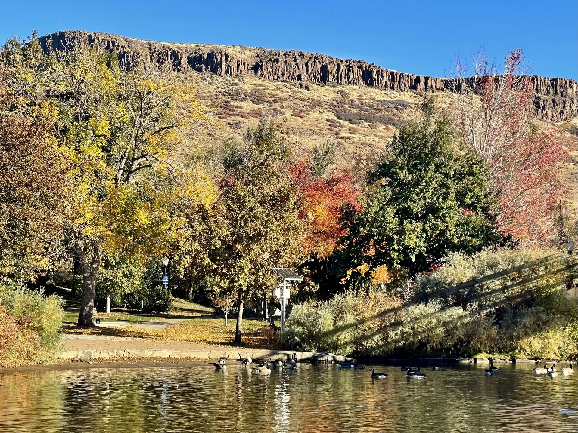 November in Vanover Park