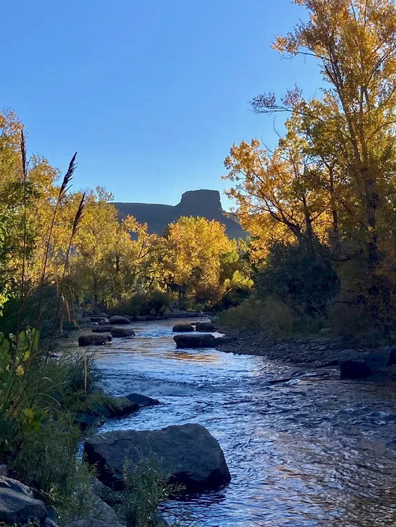 Coffee Klatch, the Golden Spike, Beer Talks, and the Candidates Forum