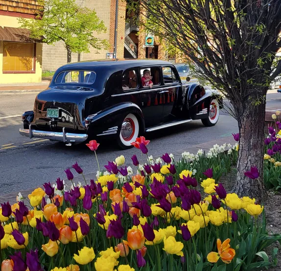 shiny black classic car with wide whitewall & red trim on tire, young boy waving from back window, tulips in foreground