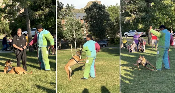 K9 Demonstration @ National Night Out