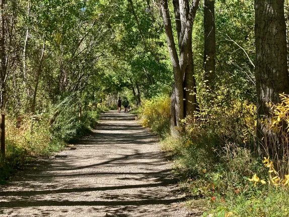 Grant Terry Trail: A Golden Experience