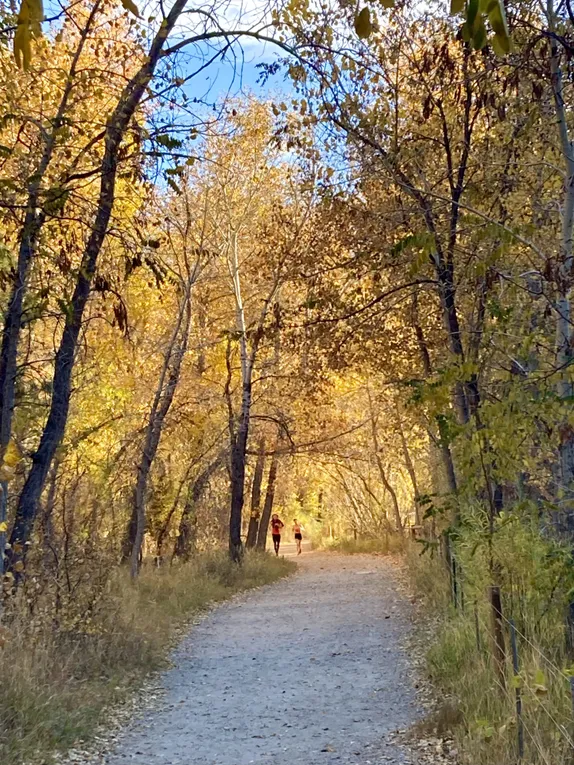 Grant Terry Trail in the Fall