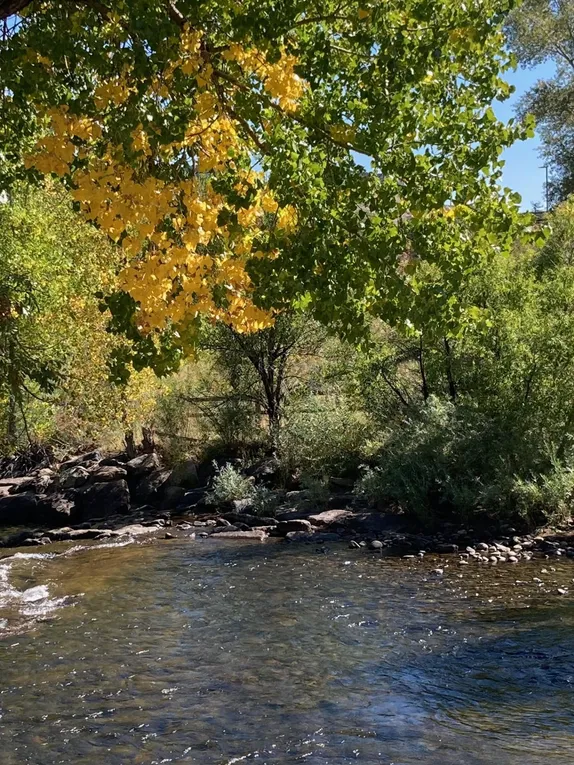 Perfect Weather for a Walk Along the Creek