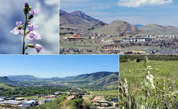 Where are Golden’s Open Spaces? North Golden Hogback