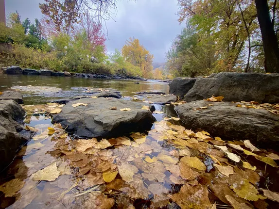 November on the Creek