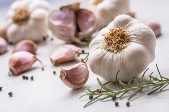 10-11AM Grow your own garlic! @ Jeffco Fairgrounds