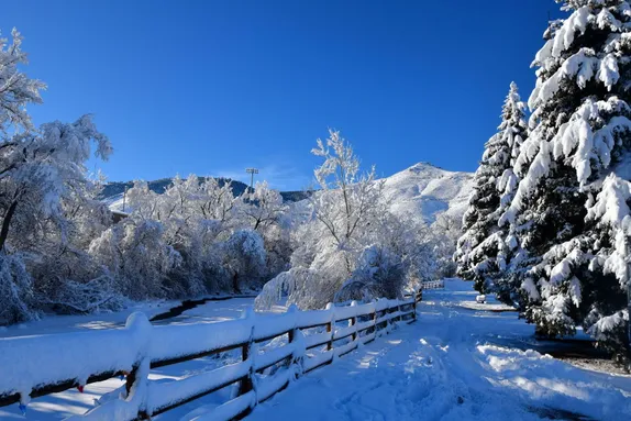 Snowy Trail