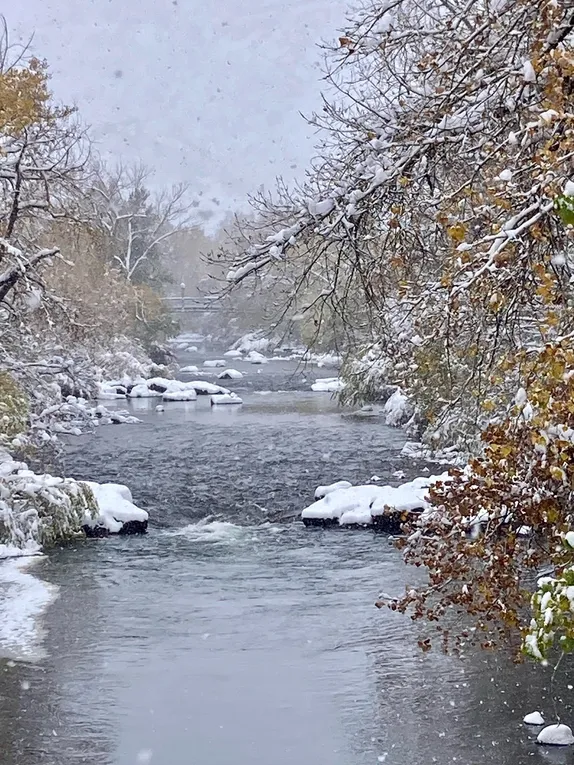 First Snow (Just Keeps Coming)